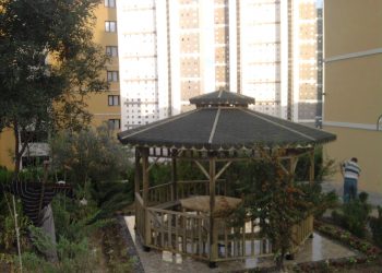 4*4 Sekizgen Masalı Kamelya AGK 19