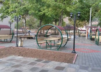 ahşap oyun grubu, ahşap kamelya, ahşap piknik masası (6)